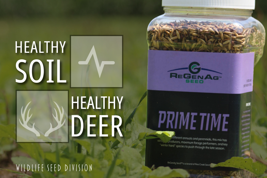 Prime Time - Fall Multispecies Mix