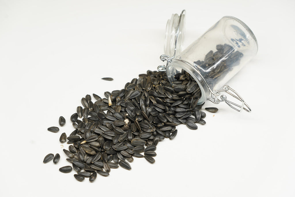 Peredovik Sunflowers